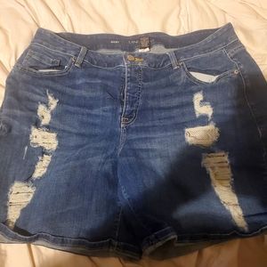 Land Bryant Distressed Shorts